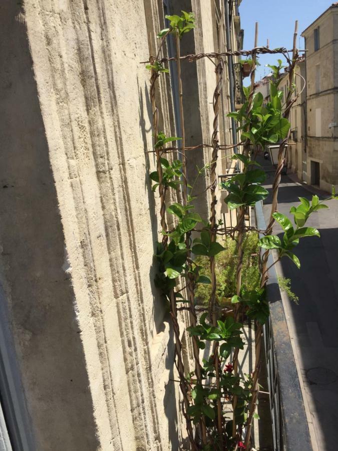 Апартаменты Chez Noelle Et Emmanuel Монпелье Экстерьер фото